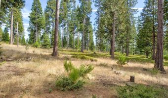 2110 Silverado Way, Arnold, CA 95223