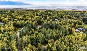 Lot 102 Nw Loc Sault Avenue, Anchorage, AK 99516