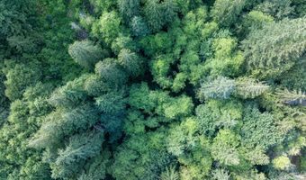 N Dubois Rd, Ariel, WA 98603