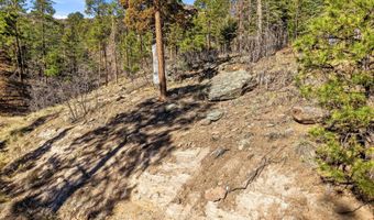 12 W Pergatory Dr, Alpine, AZ 85920