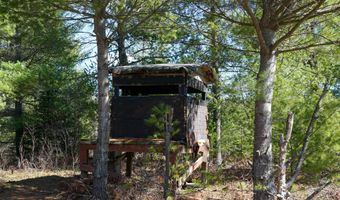 5840 Wildwood Rd, Alger, MI 48610