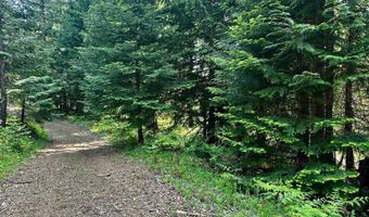 Kreiger Creek Rd Lot 2, Careywood, ID 83809