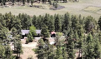 463 Chimney Dr, Bayfield, CO 81122