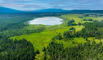 895 Mud Lake Rd, Bigfork, MT 59911