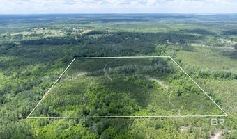 Phillipsville Road, Bay Minette, AL 36507