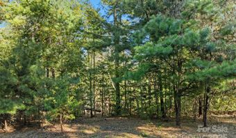 Cedar Hill Drive unit 24 24, Asheville, NC 28803