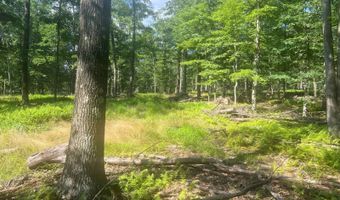 242 Brush Mountain Rd, Altoona, PA 16601