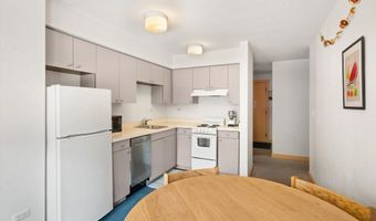 115 Boomerang Rd 5309, Aspen, CO 81611