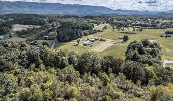 825 Middle Creek Rd, Afton, TN 37616