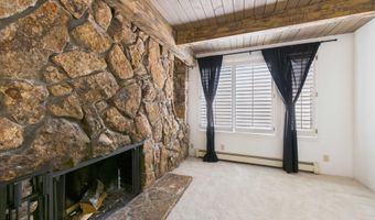 651 S Monarch St 104, Aspen, CO 81611