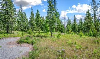 317 Treetop Bluff Ln, Bonners Ferry, ID 83805