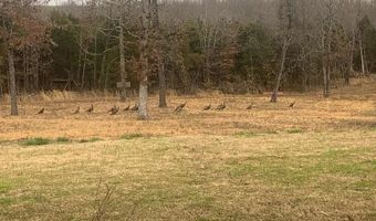 3968 Highway 167, Ash Flat, AR 72513