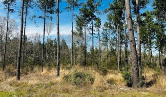 5-6 Laird Lane FM 357, Apple Springs, TX 75926