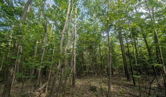 W Long Lake Road, Alpena, MI 49707