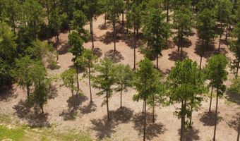 Lot 72 Wild Cherry Row, Aiken, SC 29803