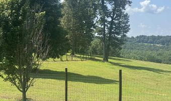 669 Saint John Rd, Baileyton, AL 35019