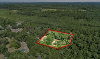 2411 Sc - 3, Barnwell, SC 29812