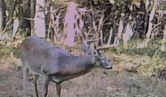 001 Farr Rd, Bolton, MS 39041