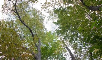 Crescent Hill Lane, Andes, NY 13731