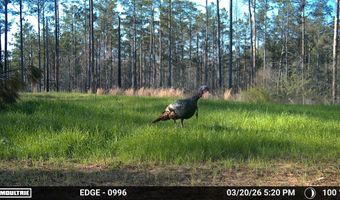 Hwy 9, Bruce, MS 38915