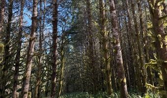 Logsden Rd, Blodgett, OR 97326
