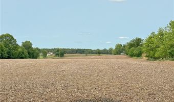 Snode Street NE, Alliance, OH 44601