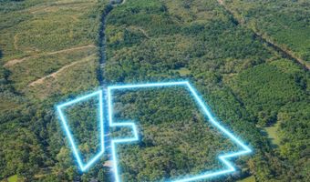 40 8 Acres Johnson Bridge Rd, Ariton, AL 36311