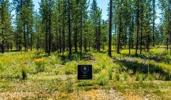 38 CANNON Ln, Blanchard, ID 83804