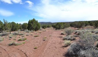 32 N8544 398, Concho, AZ 85924