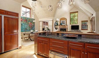 945 E Cooper Ave, Aspen, CO 81611