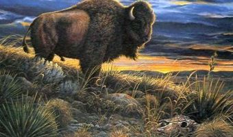 355 S WASHINGTON St, Afton, WY 83110