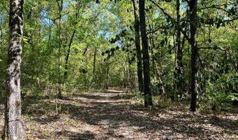 4264 Cleveland, Baker, FL 32531