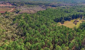 20616 NW 75TH St, Alachua, FL 32615