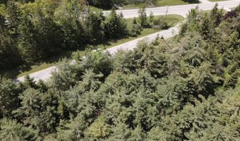 E W Resort Road lot 2, Alanson, MI 49706