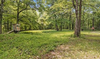 1235 County Road 182, Abbeville, AL 36310