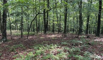 26 33 ACRES HICKORY CORNER Rd, Augusta, WV 26704