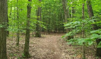 65 Acres 107th Ave, Allegan, MI 49010