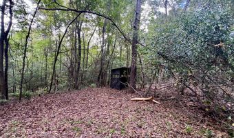 122 Whitehead Rd, Abbeville, AL 36310