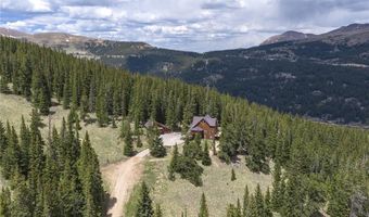 62 Lazy Rex Rd, Alma, CO 80440