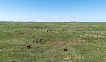 US Highway 385, Alliance, NE 69301
