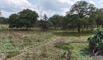 1228 Morning Glory Ln, Adkins, TX 78101