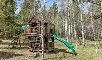 251 Haugen Slide Rd, Allenspark, CO 80510