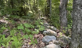 00 Berry Patch Ln, Ludlow, VT 05149