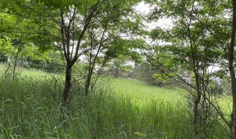 Parcel A Cemetery Road, Alden, MI 49612