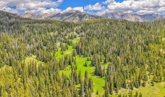NHN Beehive Basin Road, Big Sky, MT 59730