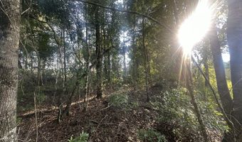Parcel A Yellow River Baptist Church Road 22 Ac+/-, Baker, FL 32531