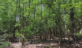 301 C1, Brooklyn, MS 39425