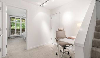 800 E Hopkins Ave A-3, Aspen, CO 81611