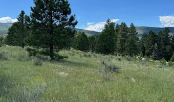 Lot 458 Torrey Pines, Angel Fire, NM 87710