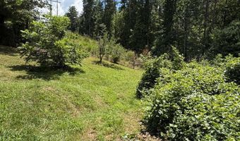 142 Avondale Rd, Asheville, NC 28803